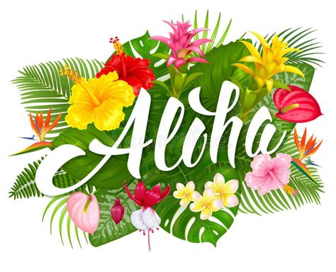 Aloha .